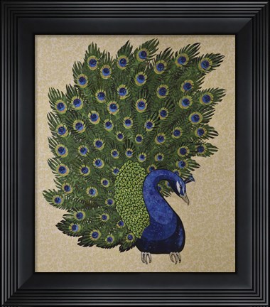 Framed Peacock Stitched Print