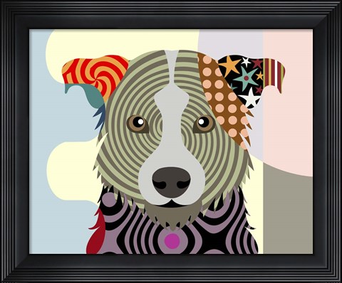 Framed Border Collie Print