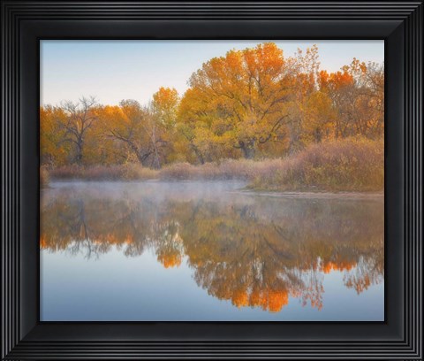 Framed Autumn&#39;s Reflection Print