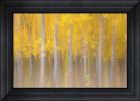 Framed Changing Seasons Print