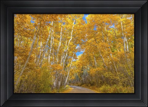 Framed Colors of Fall Print