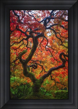 Framed Earthal Tree Alive Print