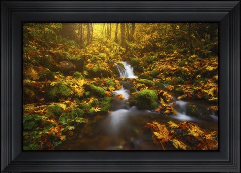 Framed Golden Creek Cascade Print