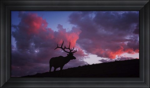 Framed Sunset in the Rockies Print