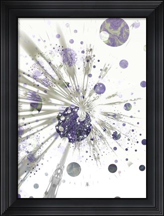 Framed Omega Print