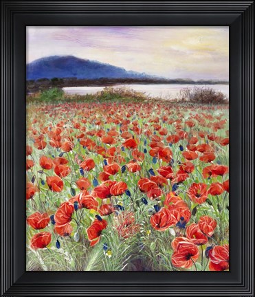Framed Blooming Poppy 2 Print