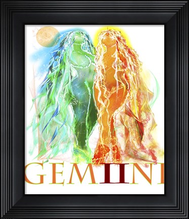 Framed Gemini Print