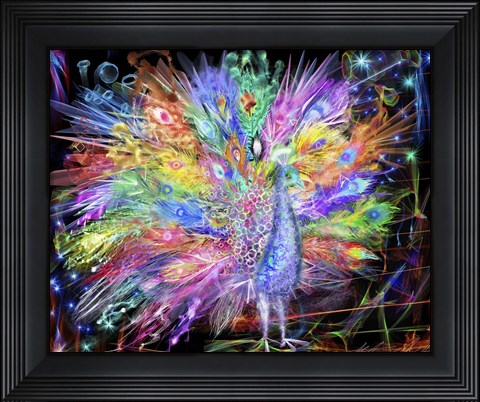 Framed Peacock Nexsus Print