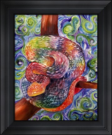Framed Rainbow Snake Print