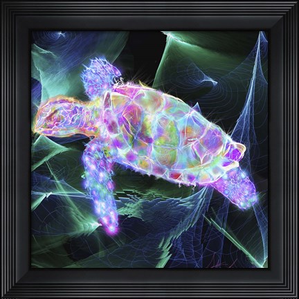 Framed Turtle 1 Print