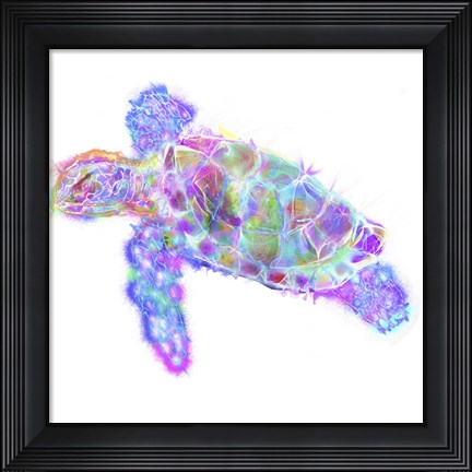Framed Turtle 11 Print