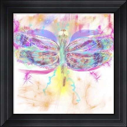 Framed Dragonfly Print