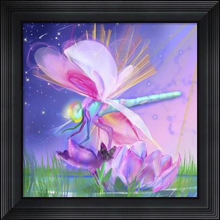 Framed Dragonfly Lotus Print