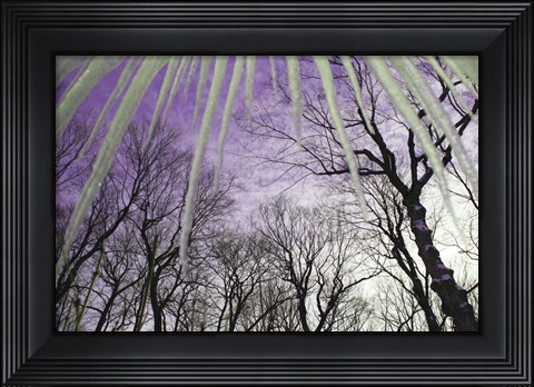 Framed Iceicles Print