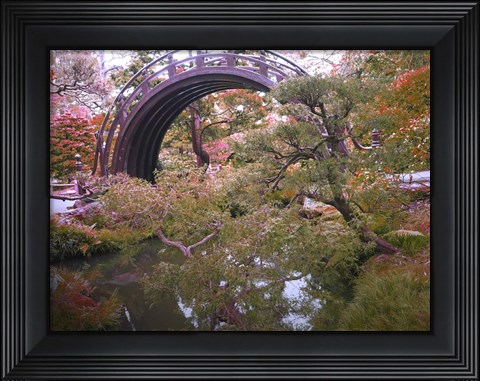 Framed Nature Park Print