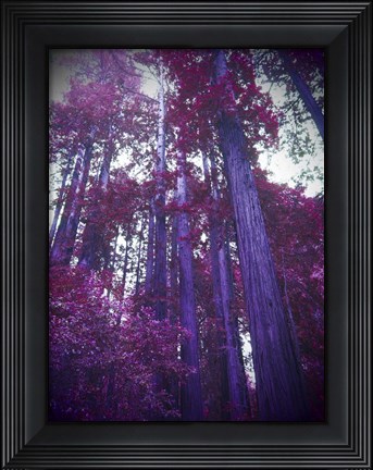 Framed Purple Tree Print