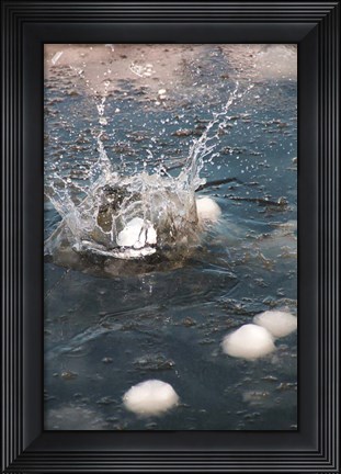 Framed Snowball Print