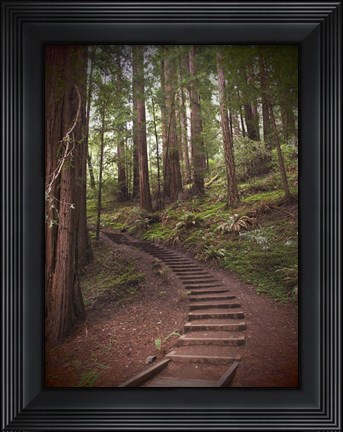 Framed Staircase Print