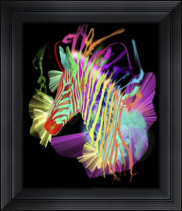 Framed Zebra Head 2 Print