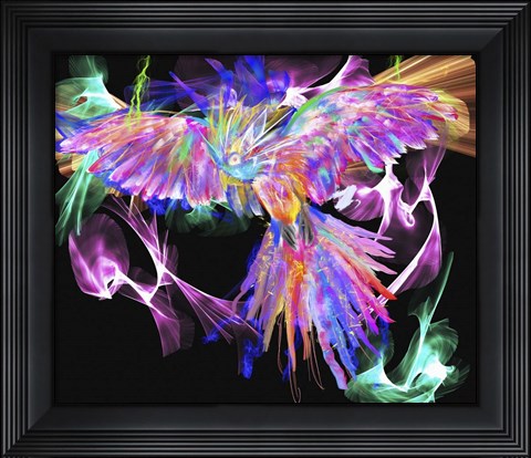 Framed Parrot Black Print