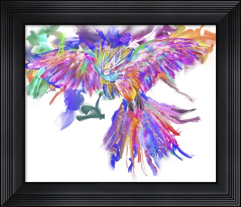 Framed Parrot Print