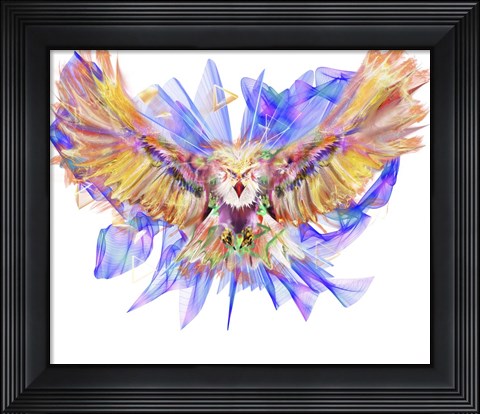 Framed Eagle Print