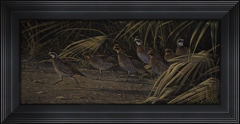 Framed Breaking Cover - Bobwhites Print