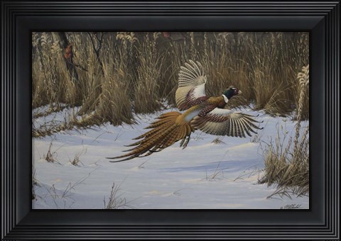 Framed Landing Zone Print