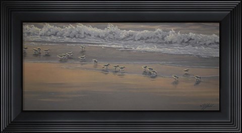 Framed Morning Surf And Sanderlings Print