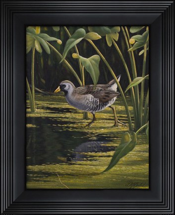Framed Sora Rail Print