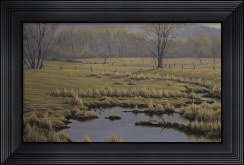 Framed Spring Pasture - Mallard Pair Print