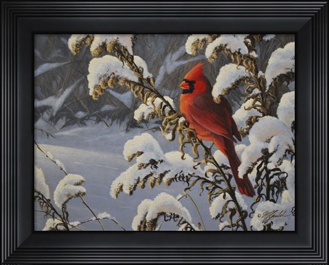 Framed Winter Cardinal Print