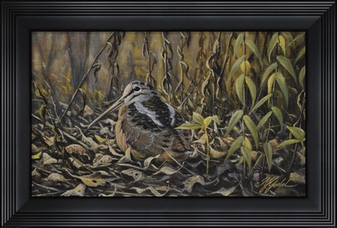 Framed Woodcock Print