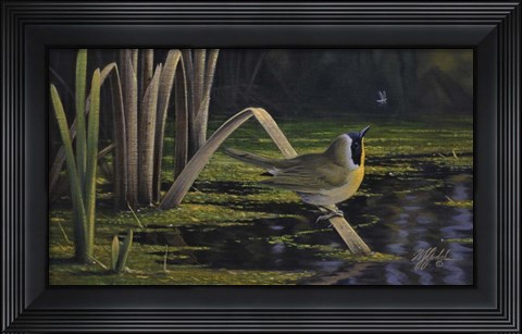 Framed Yellow-Throat Print