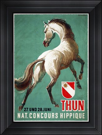 Framed Nat. Concours Hippique Print