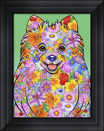 Framed Flowers Pomeranian Print
