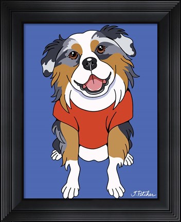 Framed Australian Shepherd Print