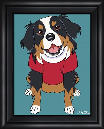 Framed Bernese Mountain Dog Print
