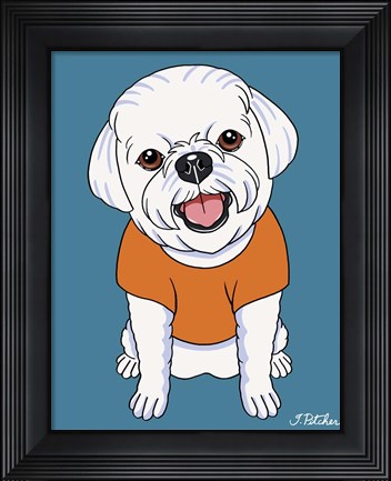 Framed Bichon Puppy Cut Print