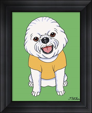 Framed Bichon Show Cut Print