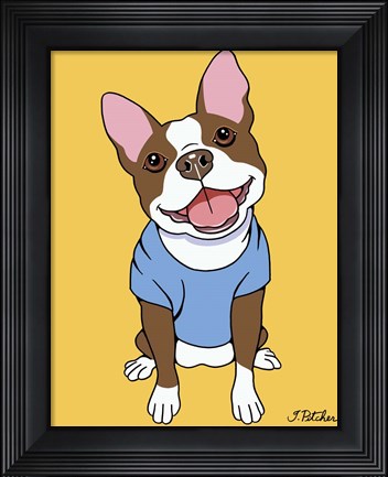 Framed Boston Terrier Seal Print