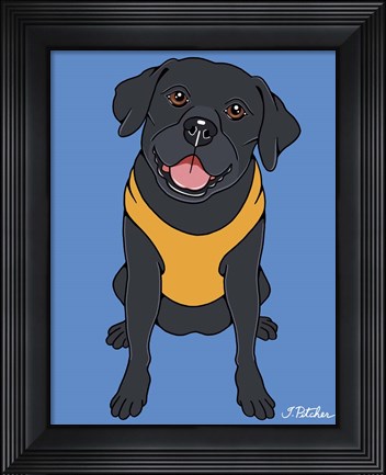 Framed Labrador Black Print