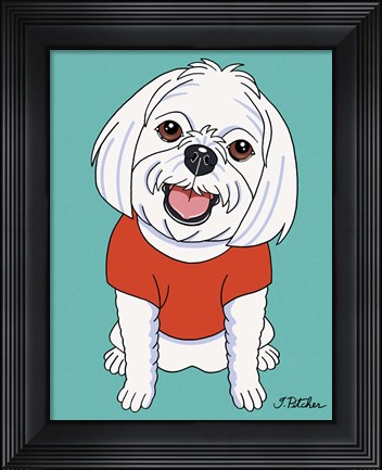 Framed Maltese Print
