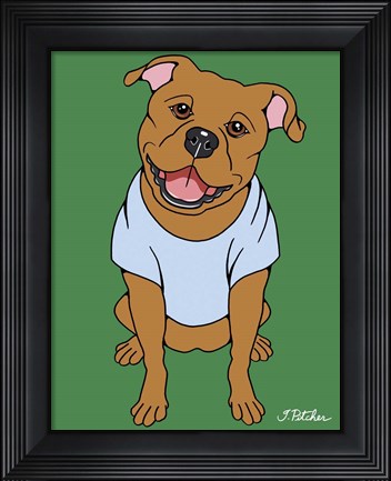 Framed Pitbull Print