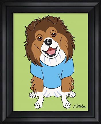 Framed Shetland Sheepdog Print