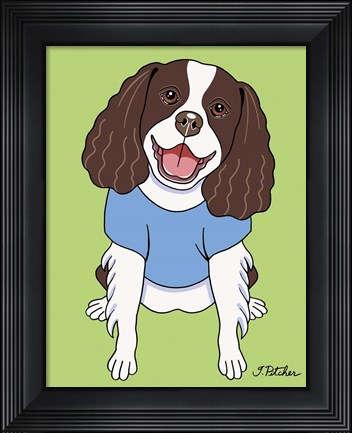 Framed Springer Spaniel Print