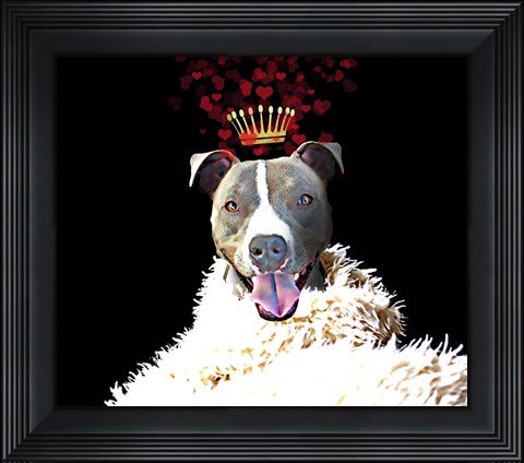 Framed Royal Love Pup - Pit Bull Terrier Print