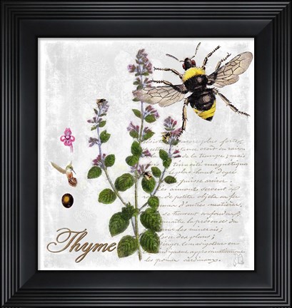 Framed Botanical Garden Thyme Herb Print
