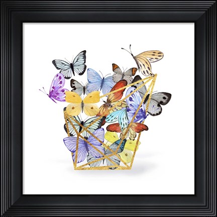 Framed Butterfly Terrarium Print