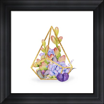Framed Succulent Terrarium Print